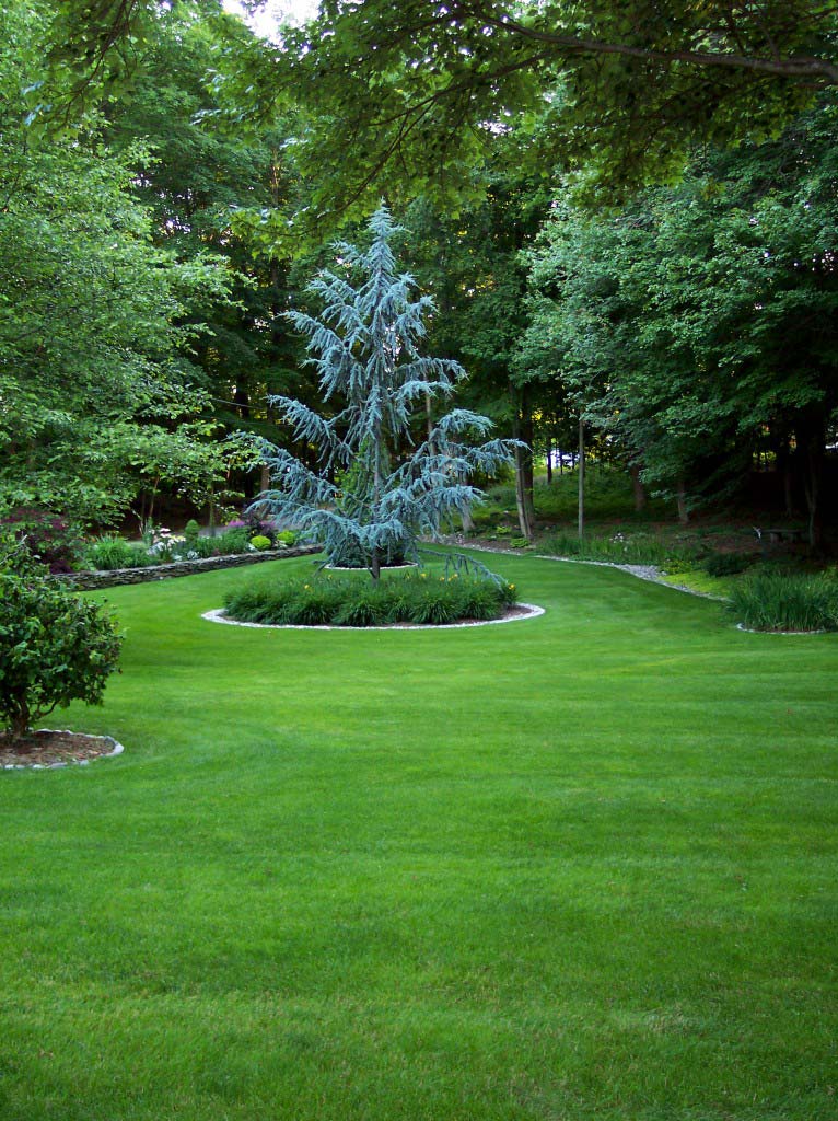 Kelly's Landscaping Milford CT