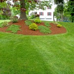 Kelly's Landscaping After Mulching and Pruning